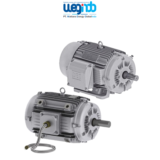 WEG Fan & Exhaust Motors