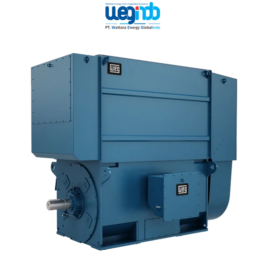 WEG Medium Voltage Motors