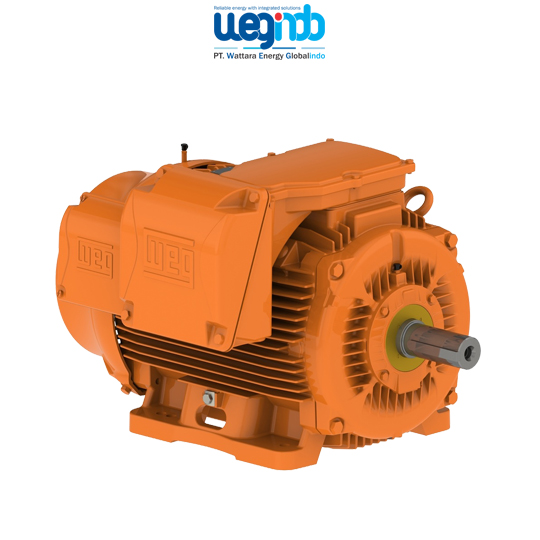 WEG Mining Motors