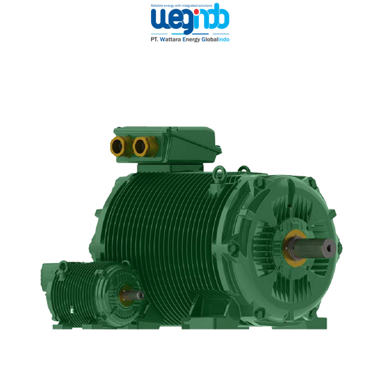 WEG Roller Table Motors
