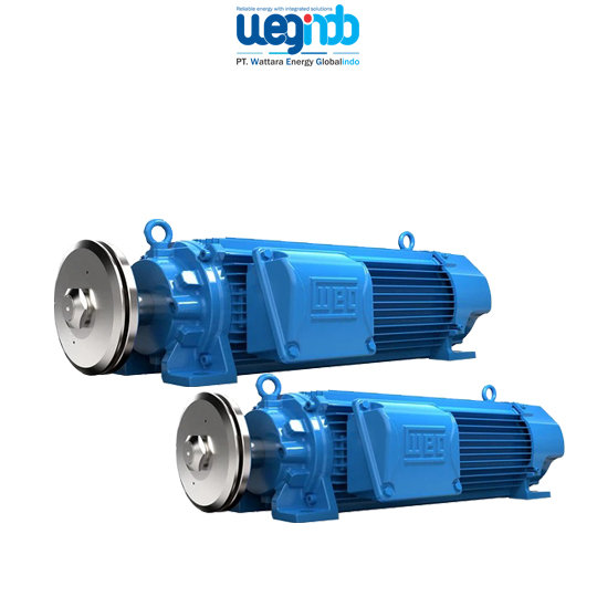 WEG Saw Arbor Motors