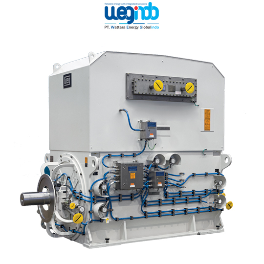 WEG Synchronous Motors