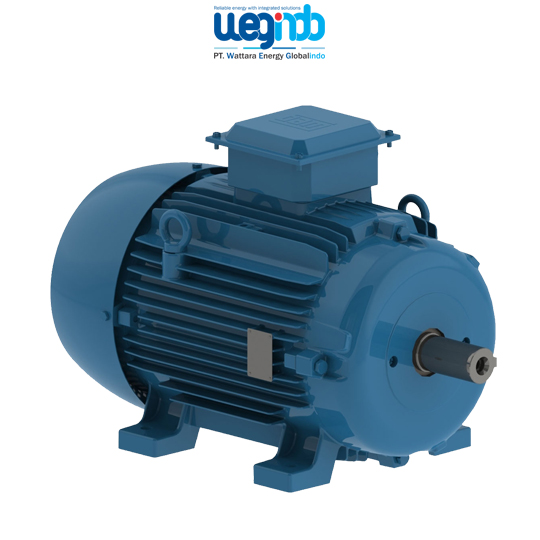 WEG Induction Motors W20
