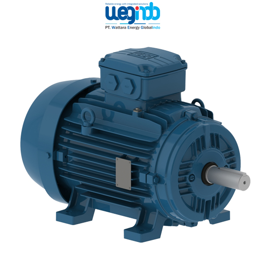 WEG Induction Motors W21
