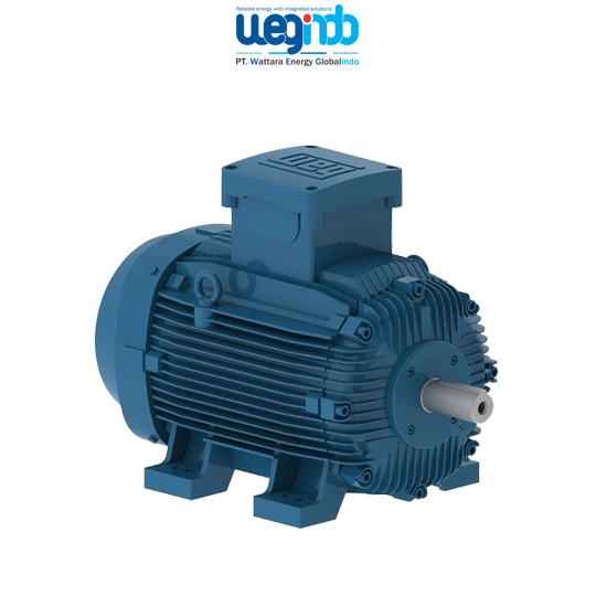 WEG Induction Motors W21Xdb