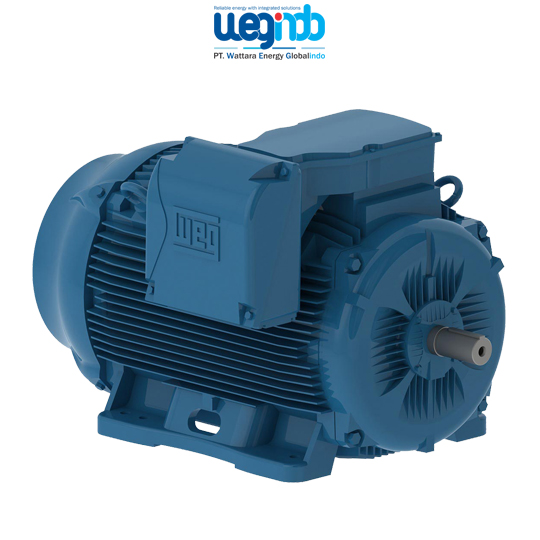 WEG Induction Motors W22