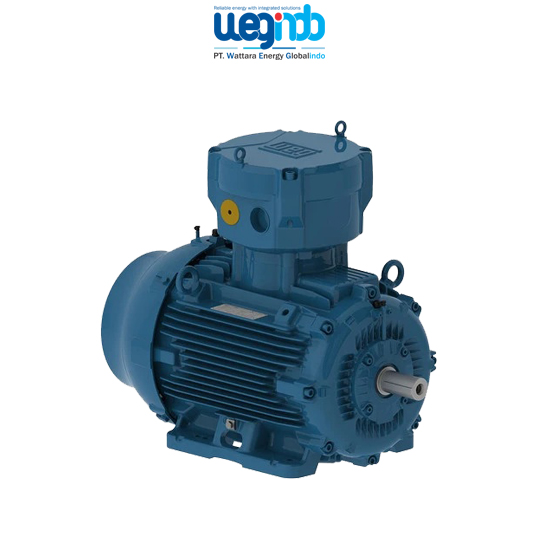 WEG Induction Motors W22Xdb