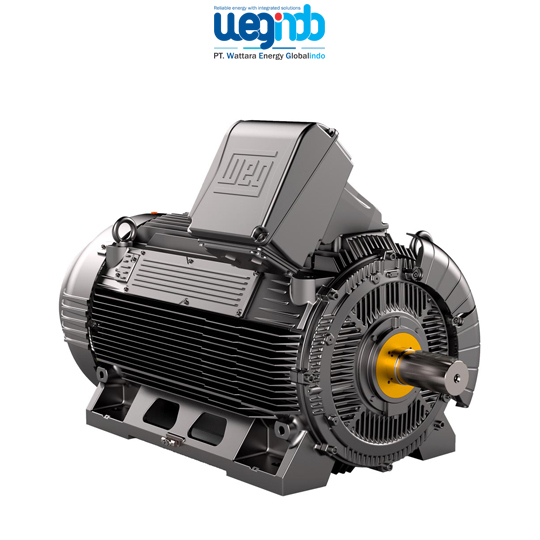 WEG Induction Motors W23