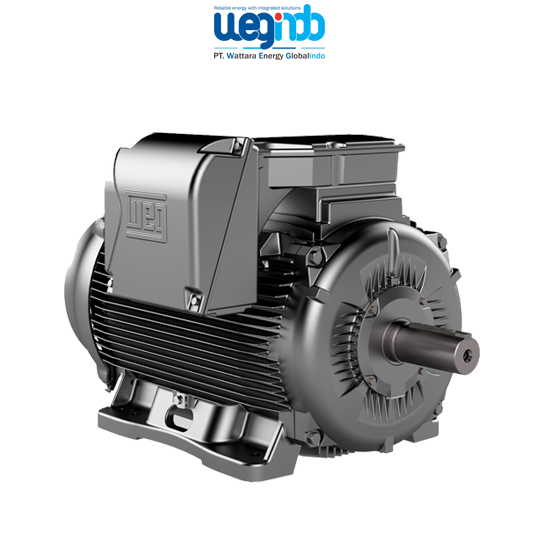 WEG Induction Motors W23