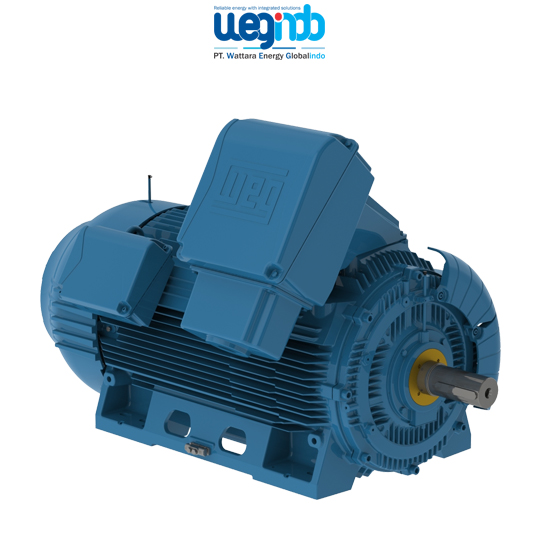 WEG Induction Motors W50