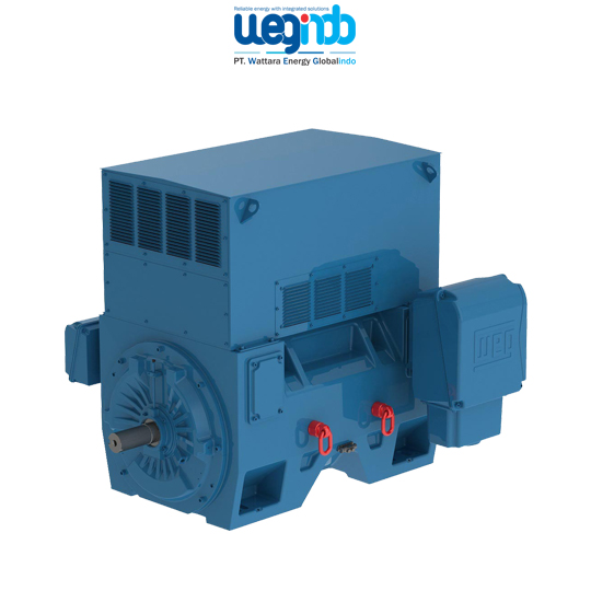 WEG Induction Motors W60